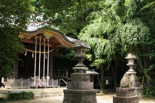 木に囲まれた神社の本殿と灯篭 木に囲まれた神社の本殿と灯篭 神社,パワースポット,癒やしの写真素材