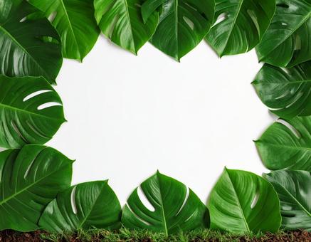 緑が彩るナチュラルなテキストスペース素材の写真