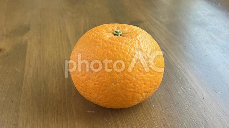 甘夏（ヨコ、1個） 甘夏,柑橘,柑橘類の写真素材