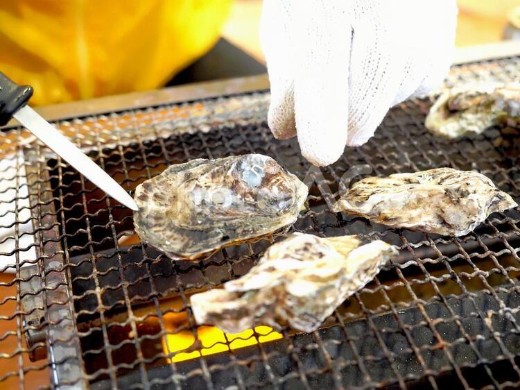 牡蠣　焼き牡蠣　牡蠣小屋　カキ　牡蠣を焼いてる人 牡蠣小屋,カキ,焼き牡蠣の写真素材