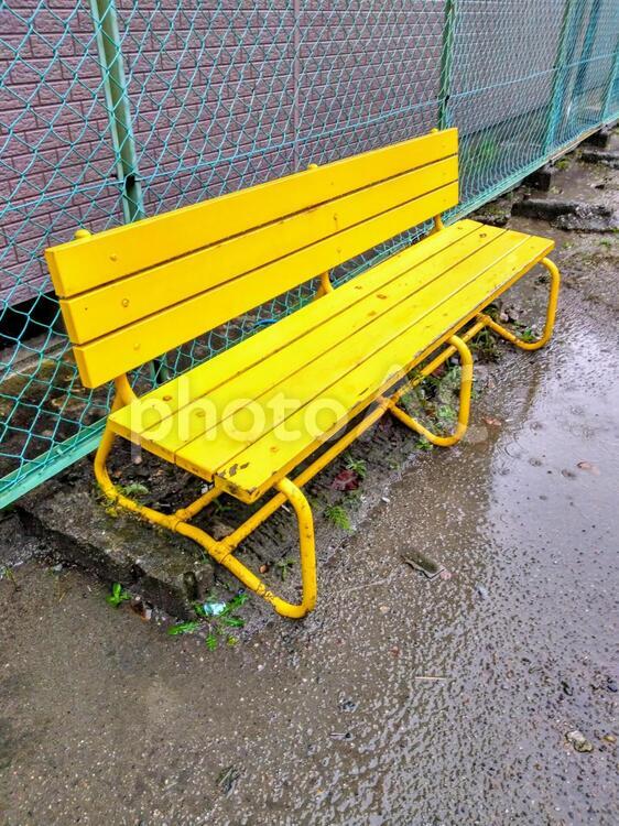 雨の日の公園にて！黄色のベンチ ベンチ,座席,色の写真素材