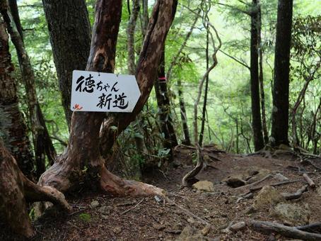 甲武信ヶ岳 徳ちゃん新道 甲武信ヶ岳 徳ちゃん新道 甲武信ヶ岳,西沢渓谷,徳ちゃん新道の写真素材