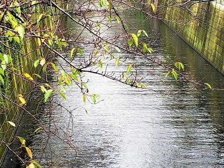 川 川の写真