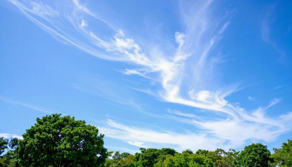 巻雲のある空・ほうき雲 巻雲のある空・ほうき雲の写真