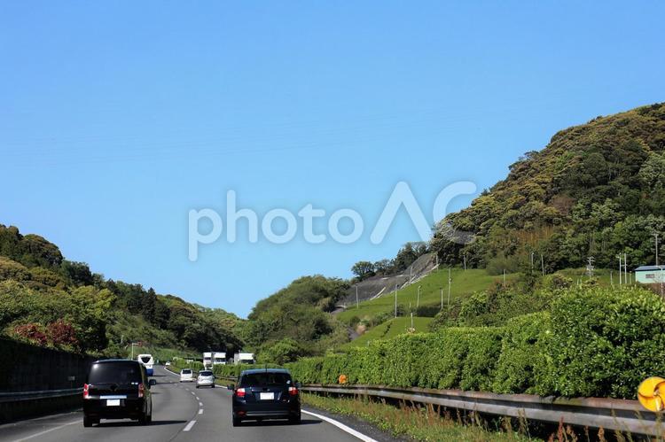 春の新緑　茶畑が見える高速道路 新緑,黄緑,緑の写真素材