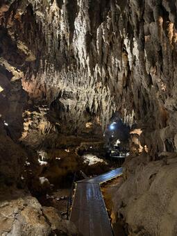 鍾乳洞 鍾乳洞,鍾乳石,洞窟の写真素材