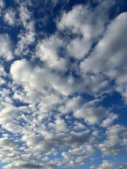 秋の雲 曇り,自然,天気の写真素材
