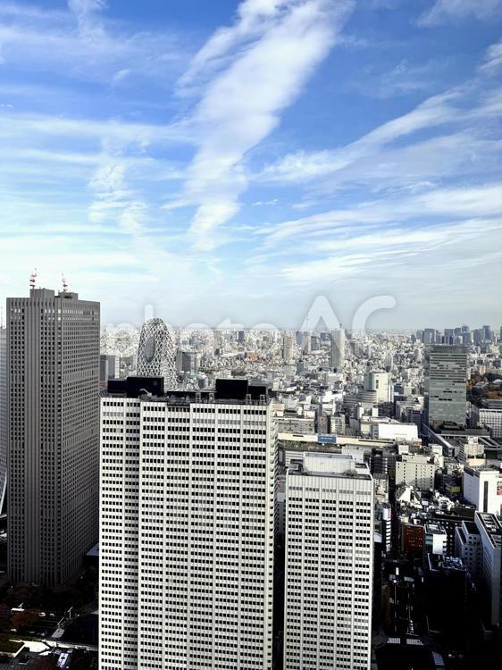 東京都庁から見た東京の街並み 東京,旅行,風景の写真素材