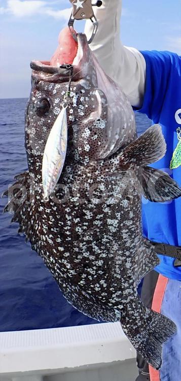 宮古島　釣り　 南の魚,宮古島,沖縄の写真素材