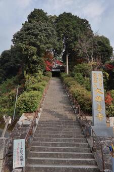 佐賀県基山町「大興善寺」の紅葉 大興善寺,紅葉,佐賀県の写真素材