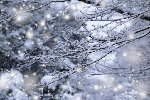 冬の景色 雪,冬,粉雪の写真素材
