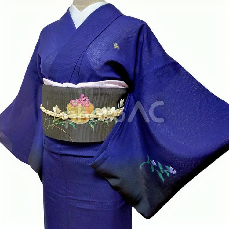 夏物　付け下げ訪問着　紗　鬼灯に蛍 夏着物,訪問着,蛍の写真素材