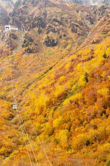紅葉のタンボ平 紅葉のタンボ平の写真