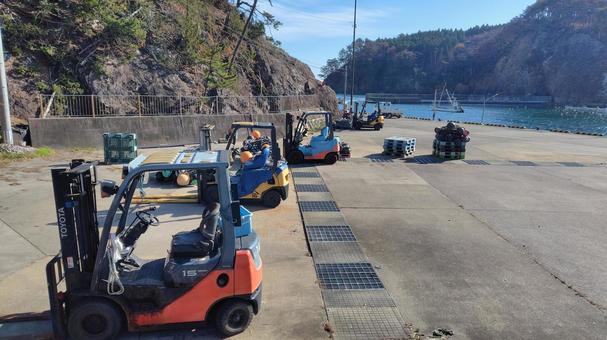 漁港に並ぶフォークリフト 秋,秋晴れ,海の写真素材