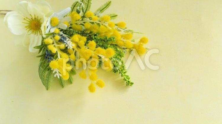 ミモザと白い花と黄色の背景 ミモザ,花,春の写真素材