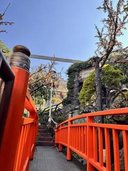花やしき 花やしきの写真