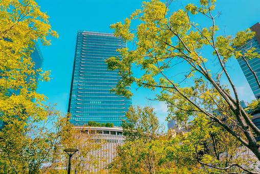【大阪】大阪駅の街並み 大阪,梅田,タワーの写真素材