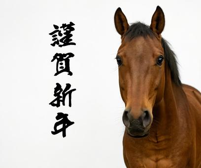 馬の顔アップと筆文字で祝うお正月 馬の顔アップと筆文字で祝うお正月の写真