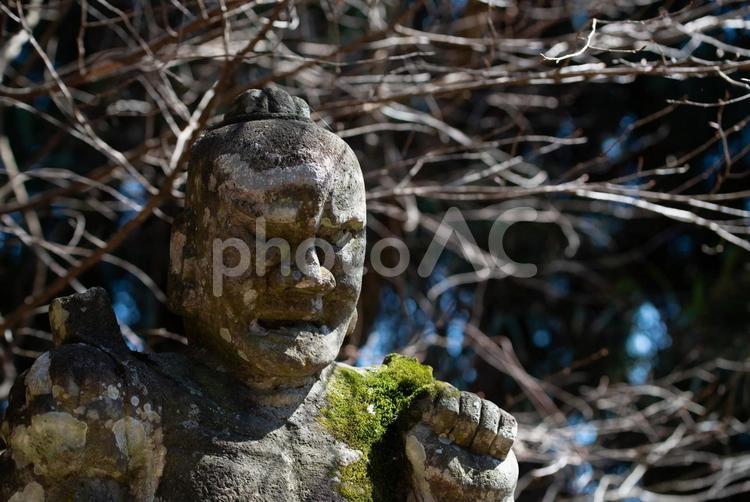 宇佐市（安心院町）　矢崎天満神社 天満神社,神社,日本の写真素材