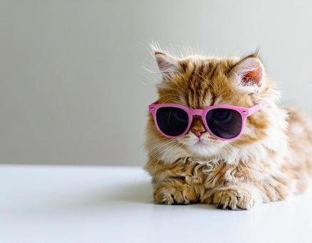 ピンク色の眼鏡と猫 ピンク色の眼鏡と猫の写真