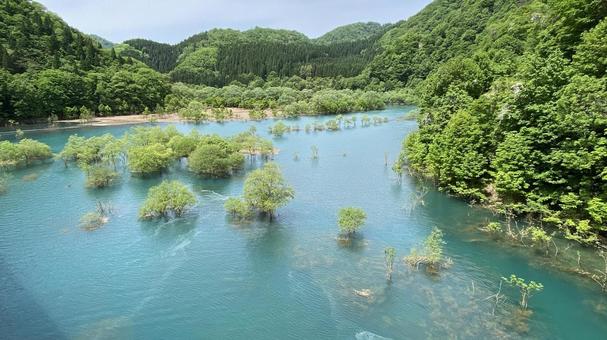 水没林 水没林 水没林,湖,エメラルドグリーンの写真素材
