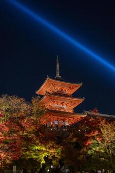 清水寺　紅葉　ライトアップ 紅葉,京都,清水寺の写真素材