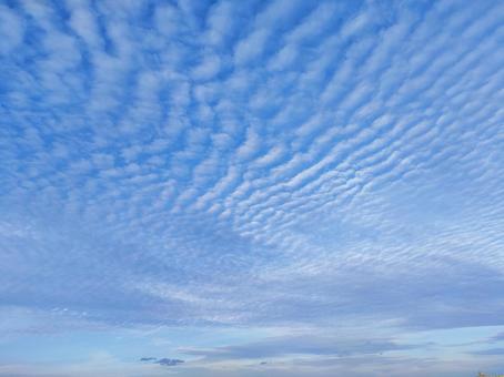 澄んだ秋の空 澄んだ秋の空の写真