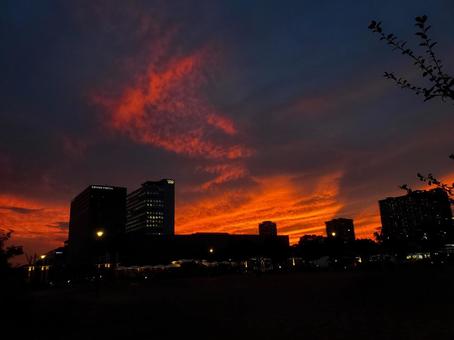 有明、花の広場から見る夕日、秋。 有明、花の広場から見る夕日、秋。の写真
