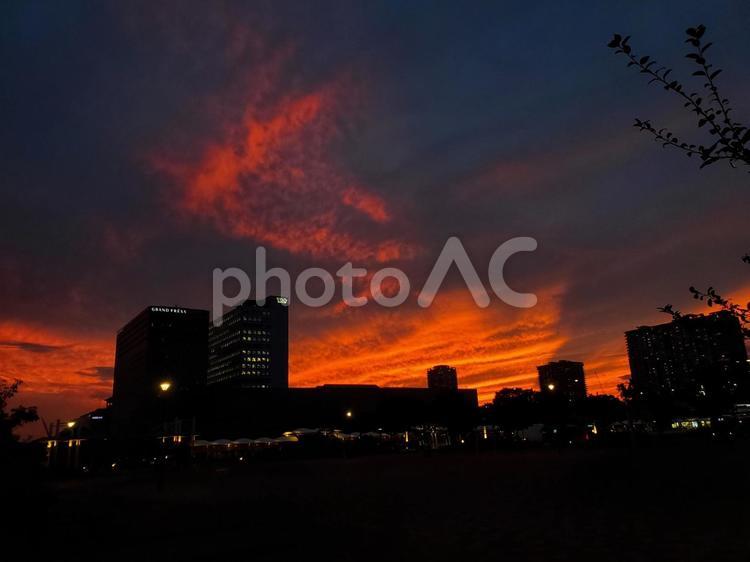 有明、花の広場から見る夕日、秋。 りんかい線,国際展示場駅,夜の写真素材