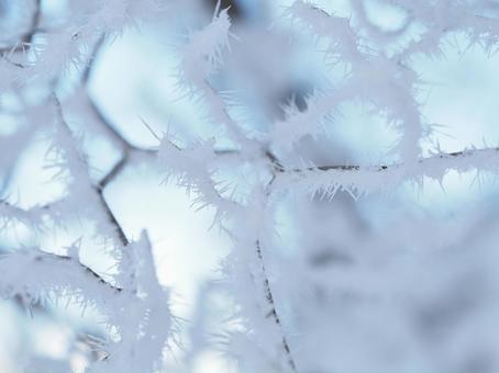 樹氷・霧氷(子壇嶺山) 樹氷・霧氷(子壇嶺山)の写真