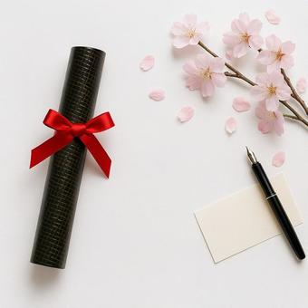 卒業証書と桜の平置き 卒業証書と桜の平置きの写真
