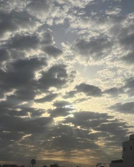 夜明け 夜明けの写真