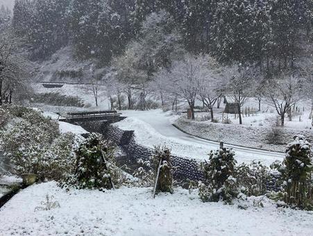 雪景色 雪景色の写真