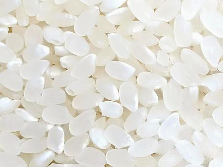 米粒 米,米粒,精米の写真素材