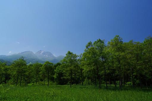 いもり池からの妙高山 妙高山,いもり池,妙高の写真素材
