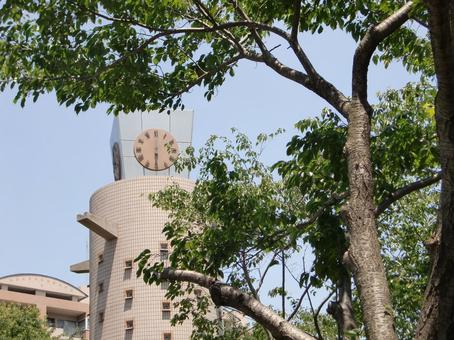 五月の緑風景-36 五月,緑,風景の写真素材