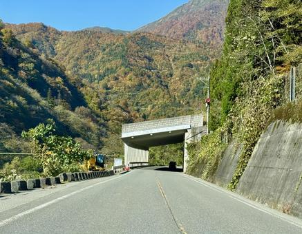 秋の山奥の道路　福井県大野市九頭竜川周辺の写真
