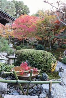 圓光寺　十牛之庭の水琴窟 圓光寺,十牛之庭,水琴窟の写真素材