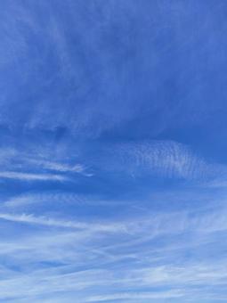青い空 青い空の写真