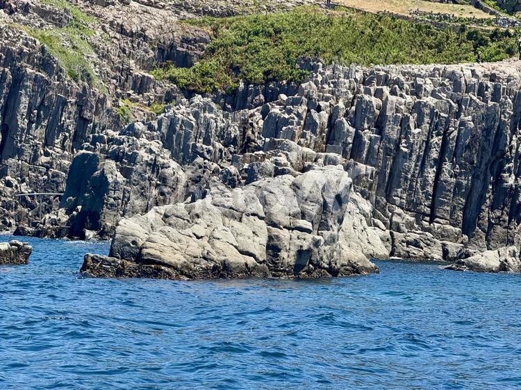 横から見た東尋坊　遊覧船からの景色 柱状節理,水面,遊覧船の写真素材