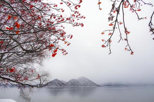 洞爺湖の冬、ナナカマドの赤い実が飾る湖畔 洞爺湖,ナナカマド,冬景色の写真素材