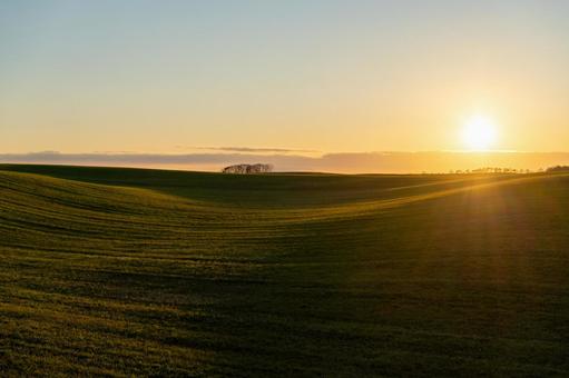 夕陽を浴びる牧草地、丘の波と光芒 夕陽,牧草地,緑の写真素材