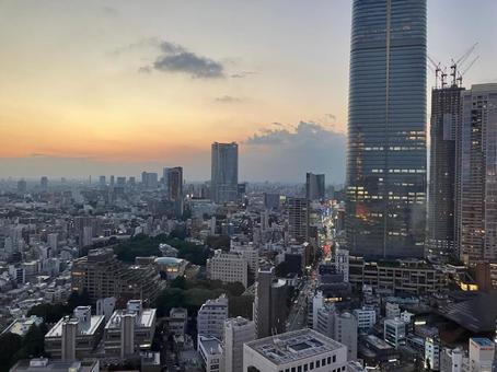 東京タワー 東京タワーの写真