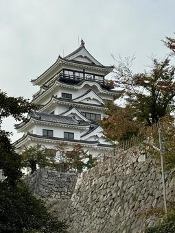 昼の福山城 福山城,福山,城の写真素材