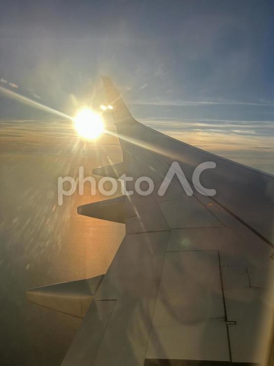 空のキャンバス　飛行機編 飛行機,夕日,空の写真素材