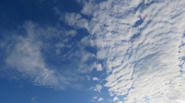 高積雲 高積雲 高積雲,こうせきうん,うろこ雲の写真素材