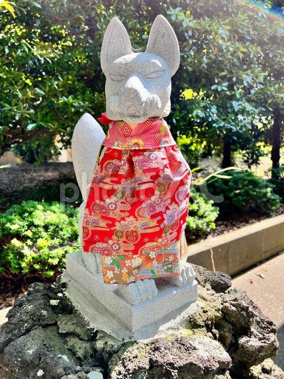 出世稲荷神社の狐様 出世稲荷神社,鎌数伊勢大神宮,神社の写真素材