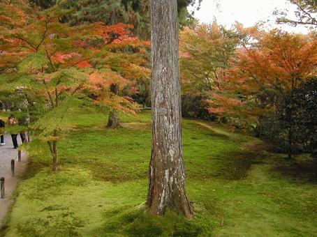 京都 大原 京都 大原の写真