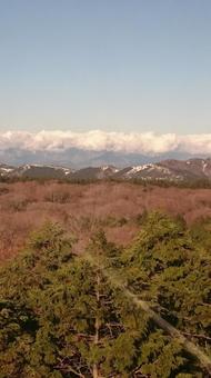 ロープウェイの中から ロープウェイの中から 山,空,森の写真素材