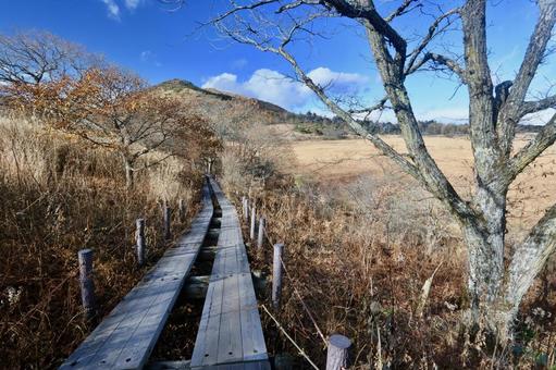 八島湿原 高原,草原,湿原の写真素材
